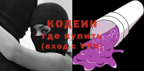 индика Богородск