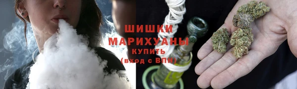 ПСИЛОЦИБИНОВЫЕ ГРИБЫ Белокуриха