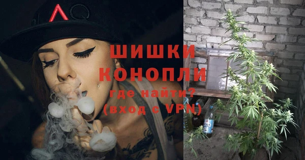 ПСИЛОЦИБИНОВЫЕ ГРИБЫ Белокуриха