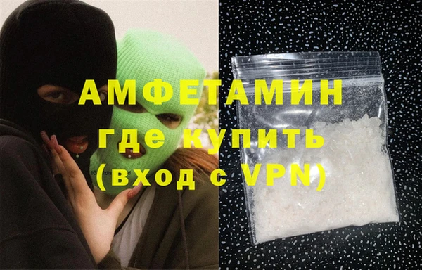 индика Богородск
