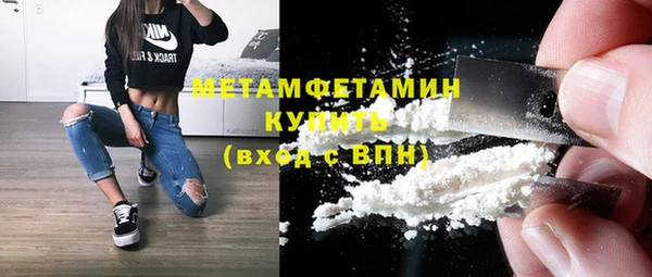 индика Богородск