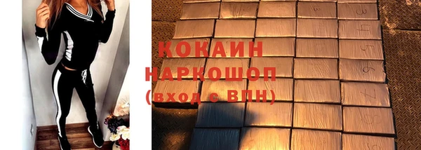 индика Богородск
