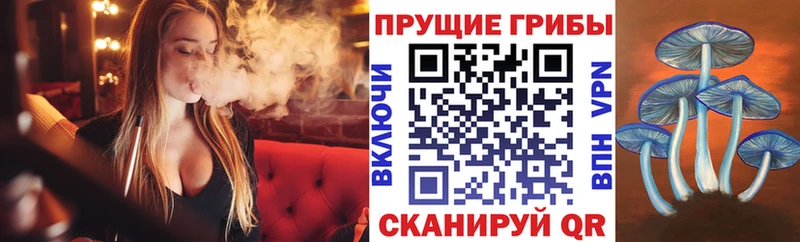 Купить где  Кулебаки  Галлюциногенные грибы Cubensis 